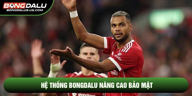 Hệ thống Bongdalu nâng cao bảo mật