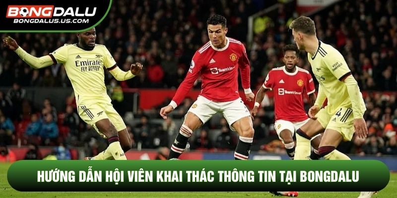 Hướng dẫn hội viên khai thác thông tin tại Bongdalu