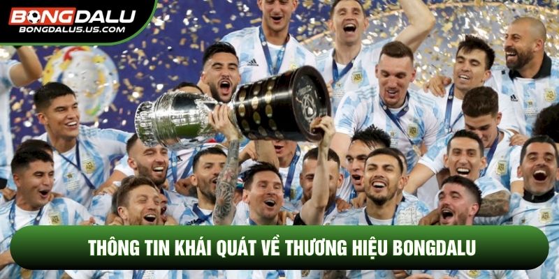 Thông tin khái quát về thương hiệu Bongdalu