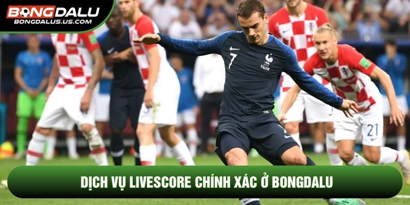 Dịch vụ livescore chính xác ở Bongdalu
