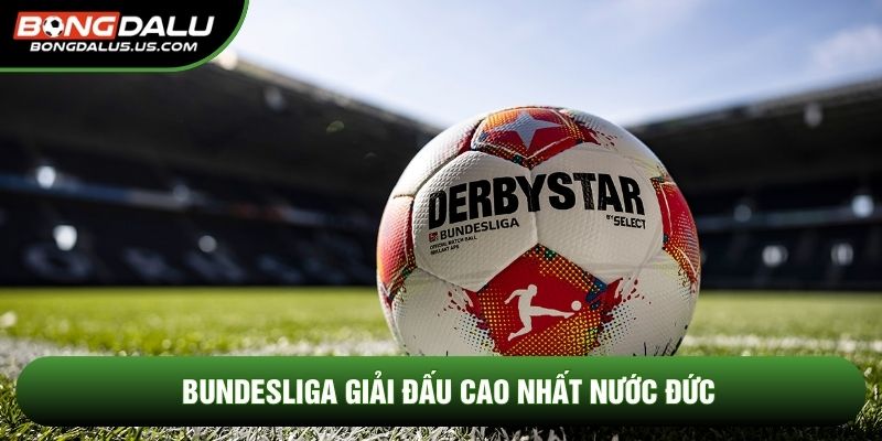  Bundesliga giải đấu cao nhất nước Đức