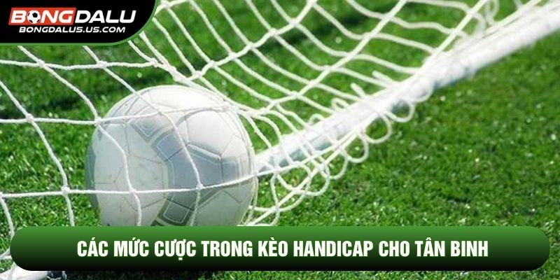 Các mức cược trong kèo handicap cho tân binh
