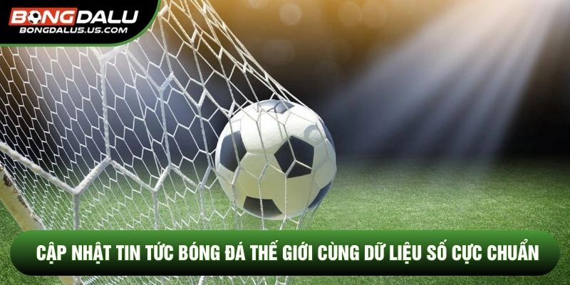 Cập Nhật Tin Tức Bóng Đá Thế Giới Cùng Dữ Liệu Số Cực Chuẩn