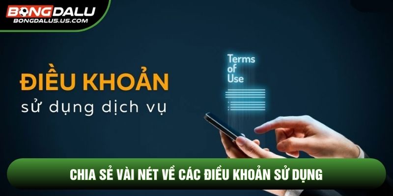 Chia sẻ vài nét về các điều khoản sử dụng