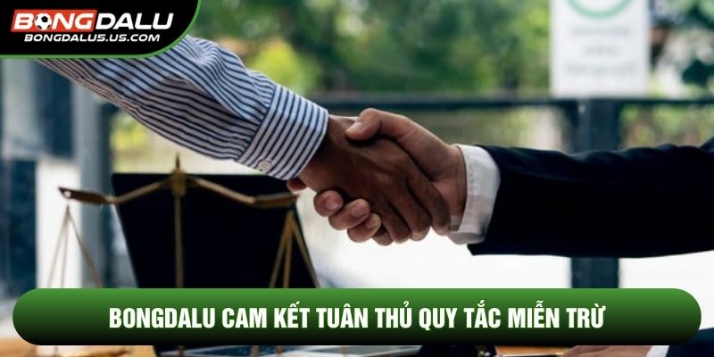 Bongdalu cam kết tuân thủ quy tắc miễn trừ